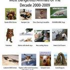 Most Dangerous Animals