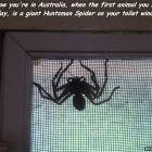 Moving To Australia
