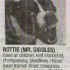 Mr Giggles
