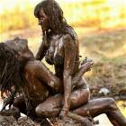 Mud