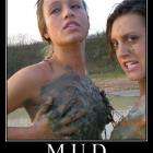 Mud