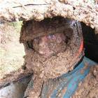 Mud Racer