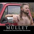 Mullet