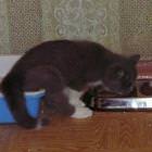 Multi Tasking