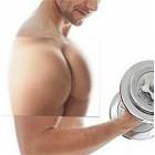 Muscles