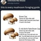 Mushroom Guide