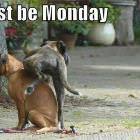 Must Be Monday