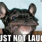 Must Not Laugh