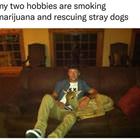 My 2 Favorite Hobbies