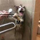 My Actions