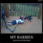 My Barbies