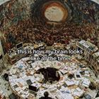 My Brain