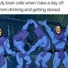 My Brain Cells