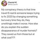 My Conspiracy Theory