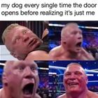 My Dog Every Time