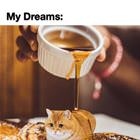 My Dream