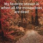 My Favorite Season