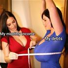 My Monthly Income
