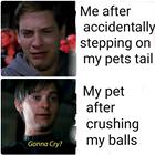 My Pet