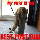 My Post