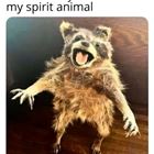 My Spirit Animal