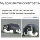 My Spirit Animal
