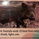 My Spirit Animal
