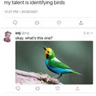 My Talent