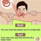 Myth Vs Fact