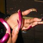 Nasty Nails