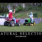 Natural Selection
