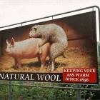 Natural Wool