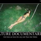 Nature Documentaries