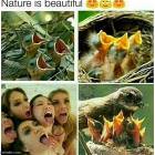 Nature Is Beautiful