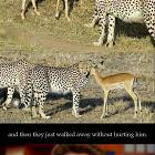 Nature Is Wonderful