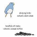 Natures Alarm Clocks