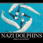 Nazi Dolphins