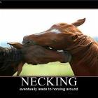 Necking