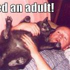 Need An Adult