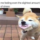 Need To Be Healthy
