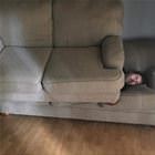 Needed A Blanket