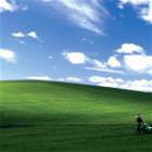 Needed A Mow