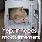 Needs More