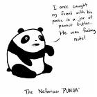 Nefarious Punda