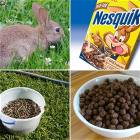 Nesquik