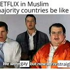 Netflix Adapts