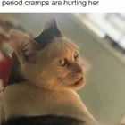 Netflix And Chill