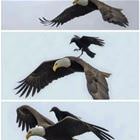 Never Be This Badass