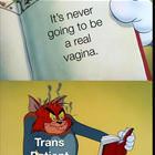 Never Going To Be Real
