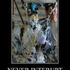 Never Interupt